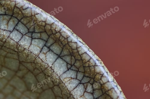 Preview: Close-up of a crack on the surface of old ceramic