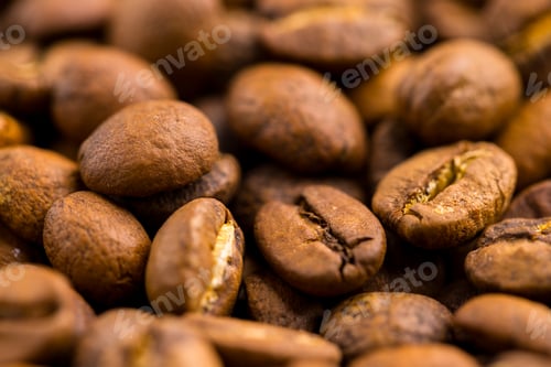 Preview: Freshly roasted coffee beans background
