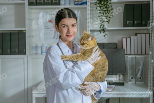Preview: Cute female veterinarian in a white coat cradling a small striped cat.