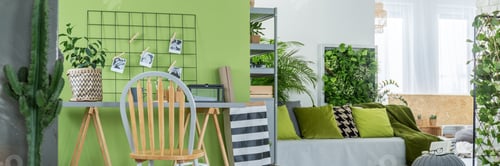 Vista previa: Indoor garden in the room