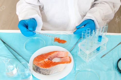 Preview: laboratory testing of different food products. Selective focus.