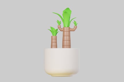 Preview: Two plants in a white planter