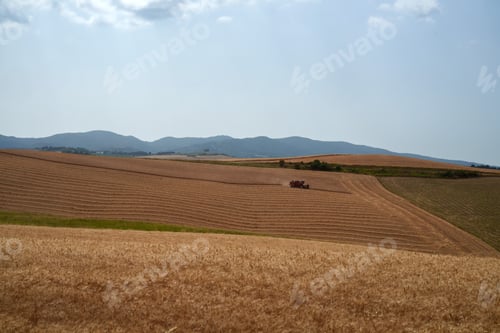 Preview: Rural landscape on the hills of Orciano Pisano, Tuscany