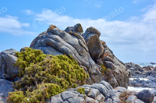 Preview: Coastal area close to Cape Twon - Western Cape