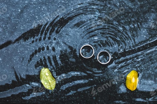 Preview: Wedding rings underwater on black background on big yellow leaf