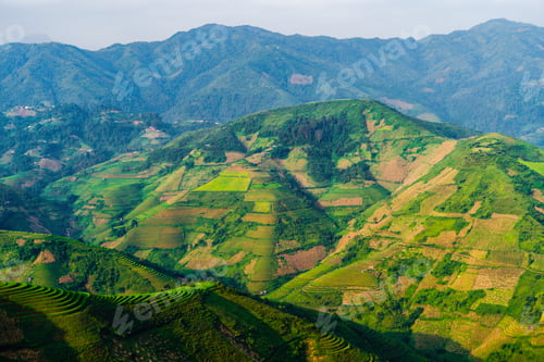 Preview: Paddy rice terraces, green agricultural fields in countryside of mountain hills valley, Vietnam.