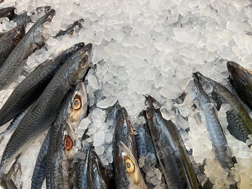 Preview: Group of fresh fish kept in the ice for sale at the market