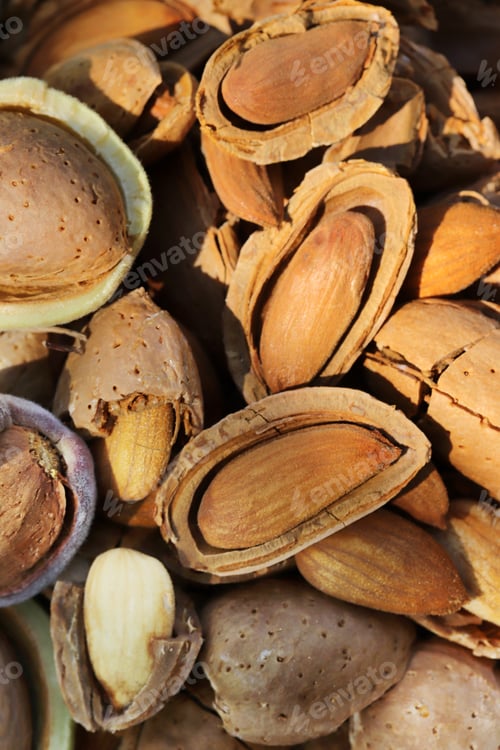 Preview: almond harvest time - broken almonds