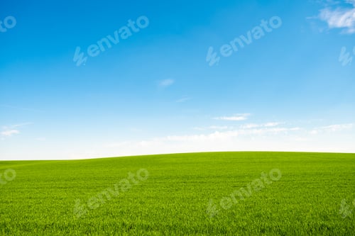 Preview: Green meadows with blue sky and clouds background