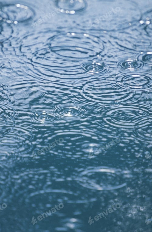 Preview: rain, raindrop, rainforest, raining