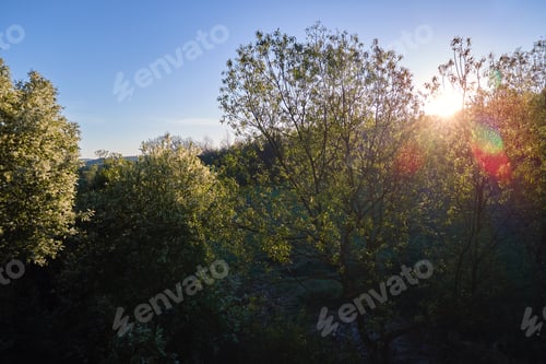 Preview: Aerial view of blooming garden with white blossoming trees in early spring at sunset
