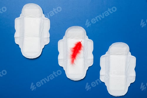 Preview: Women hygiene products or Sanitary pad with red feather on colored background.