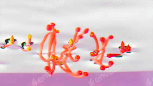 Preview: Botany concept, close up of long red and yellow pistils and stamens. Stock footage. Details of an