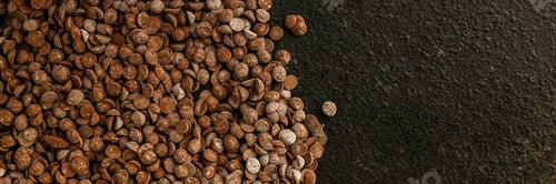 Preview: Chocolate Drops (Black Or Milk Chocolate, Sweet Ingredient) Menu Concept. Food Background. Copy