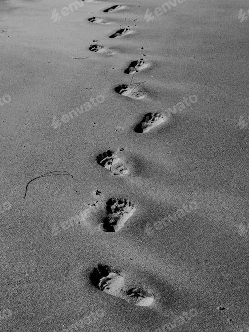 Preview: Footprints in the sand on a beach