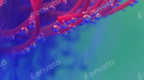 Preview: Bright shooting in macro photography.Stock footage. Transparent water in which the flower is