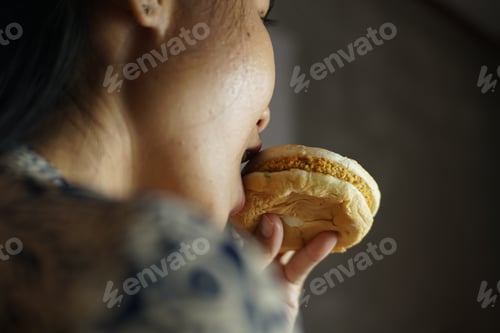Preview: Hamburger