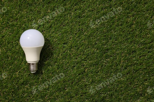 Preview: A light bulb on the grass, top view.