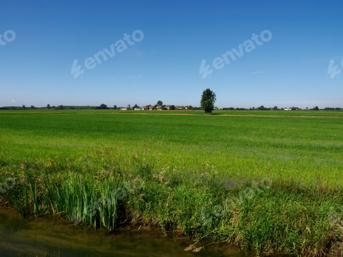Preview: Rural landscape along Naviglio di Bereguardo, Milan, Italy