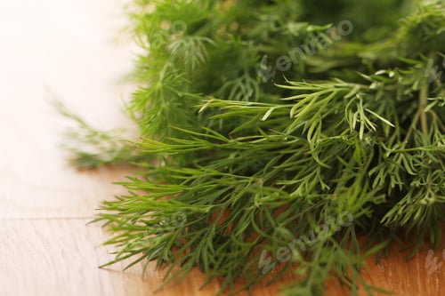 Preview: Fresh green dill
