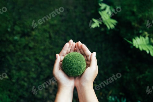 Preview: Net Zero Concept and Carbon Neutral Natural Environment Climate Neutral Long Term Emissions Strategy