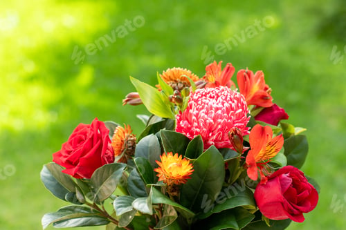 Preview: Beautiful red orange bouquet with roses, aster, Peruvian lilies, dwarf everlast on green. copy space