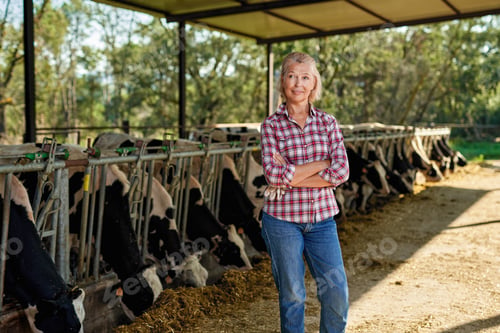 Preview: Woman Farmer Is Working On Farm Cows