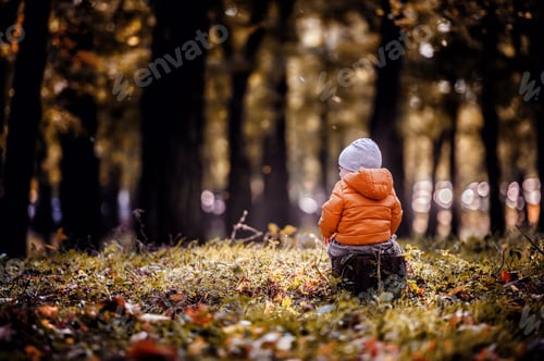 Preview: Little toddler boy in autumn-spring clothes sits backward on a stump in park plays with a leaf