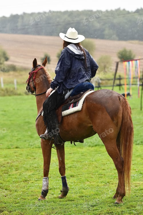 Preview: Beautiful Cowgirl Riding A Brown Horse In A Barrel Race At A Rodeo.