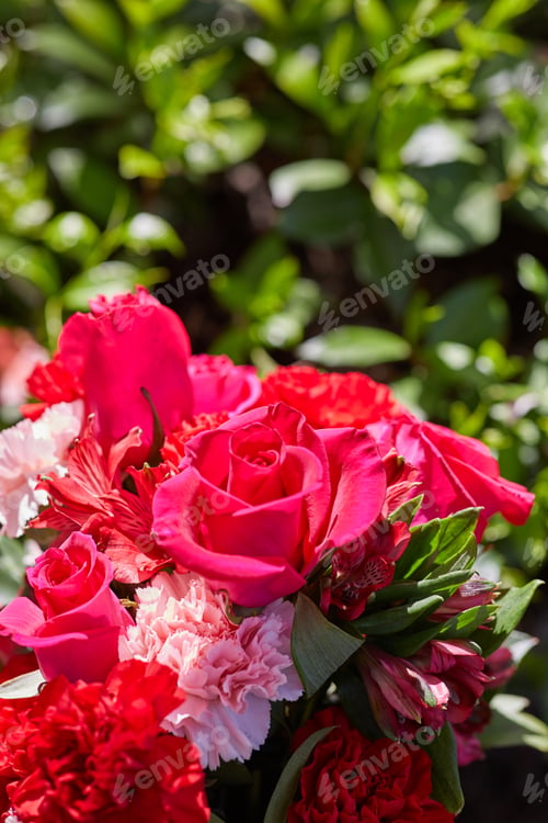 Preview: Vertical photo of fresh colorful flowers