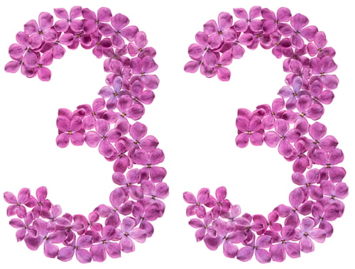 Preview: Arabic numeral 33, thirty three, from flowers of lilac, isolated on white background