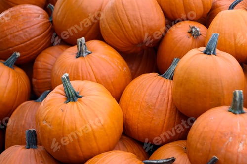 Preview: Pumpkins background.