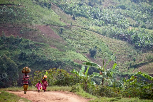 Preview: A woman and children walking on a rural path through lush greenery