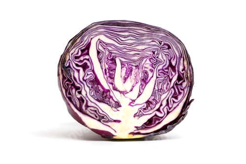 Preview: Fresh red cabbage isolated on white background