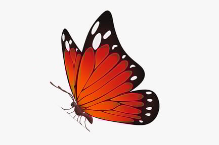 Предпросмотр: Стилизованная бабочка-монарх