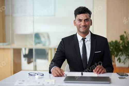 Preview: Cheerful Young Entrepreneur