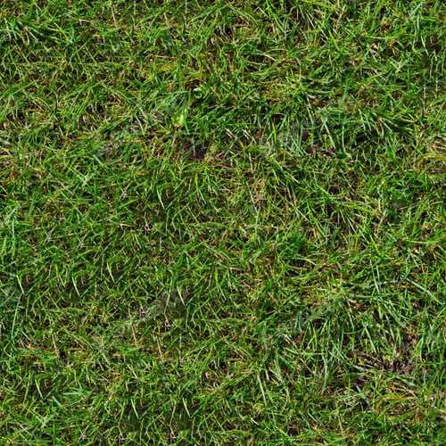 Preview: Green Grass. Seamless Tileable Texture.