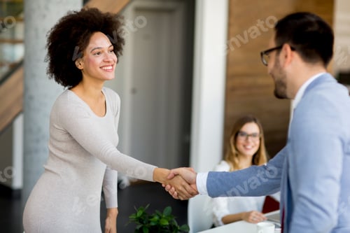 Preview: Businessman shaking hands to seal a deal with his female partner