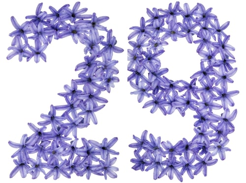 Preview: Numeral 29, twenty nine, from natural flowers of hyacinth, isolated on white background