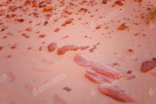 Preview: stones are scattered on the desert sand against the background of a red canyon