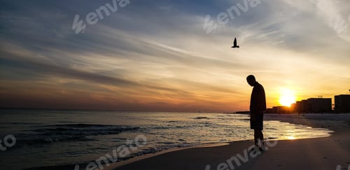 Preview: Man and bird together at sea on gulf coast of Florida early morning avoiding each other.