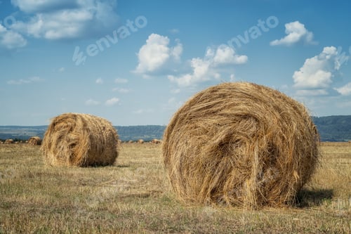 Preview: An autumn field full of hay bales