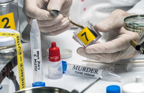 Preview: Specialized police analyzes hair of murder victim with a tweezers, conceptual image