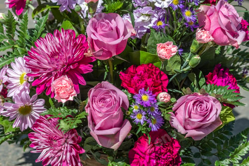 Preview: Close-up photo of various colorful flowers