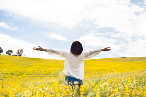 Preview: Woman in yellow field