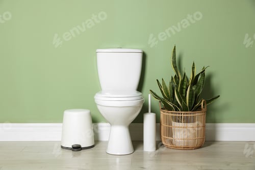 Preview: Ceramic toilet bowl, brush, trash can and houseplant near green wall indoors