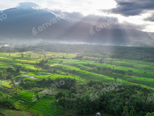 Preview: Beautiful morning view indonesia panorama landscape