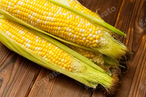 Visualização: Espigas de milho amarelas frescas com folhas.