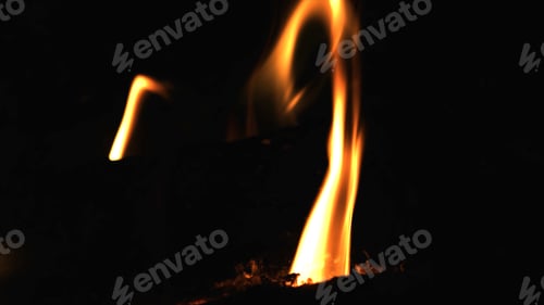 Preview: Closeup of burning red fire wood on black background. Burning firewood in the fireplace.