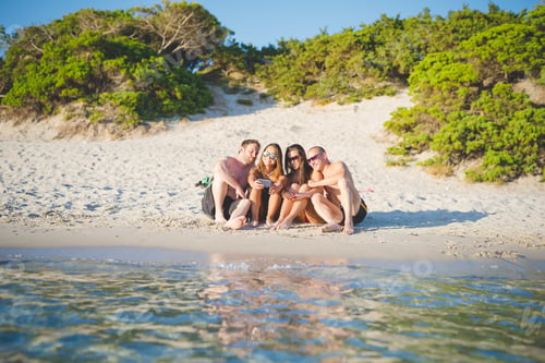 Preview: group of young multiethnic friends beach summer